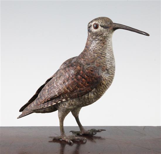 A late 19th / early 20th century Austrian cold painted bronze woodcock, 7in.